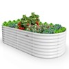 Cesicia 8x4x2ft White Oval Galvanized Raised Garden Bed For Vegetables & Flowers - 3 of 4