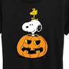 Women's - Peanuts - Snoopy Woodstock Pumpkin Short Sleeve Graphic T-Shirt - 2 of 4