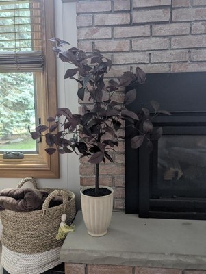 Guest review image 1 of 2, zoom in