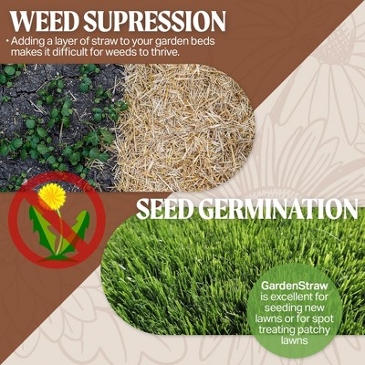 Sustainable Wheat Straw Mulch for Gardens and Lawn Seeding, 3 cu ft