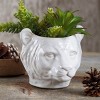 TAG Mountain Lion Ceramic Planter - 6" L x 5.5" W x 5" H - White Garden Pot for Indoor/Outdoor Use - Easy to Clean - 2 of 2