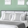PiccoCasa Skin Luxurious Zipper Closure Satin Pillowcases 2 Pcs - 3 of 4