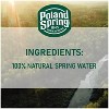 Poland Spring Natural Mineral Water 16.9 Oz. 40 Bottles - 3 of 4