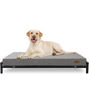 KOPEKS Elevated Foam Dog Bed - XL - Grey - 1 of 4