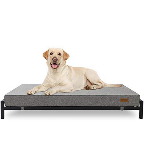 KOPEKS Elevated Foam Dog Bed - XL - Grey - image 1 of 4