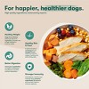 Jinx Grain-Free Dry Dog Food with Chicken, Sweet Potato & Carrot Flavor - 3 of 4