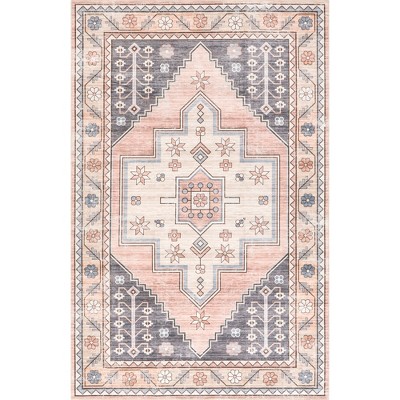 Nuloom Catreena Transitional Floral Pet Friendly Machine Washable Area Rug, 4' x 6', Blush