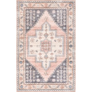 Nuloom Catreena Transitional Floral Pet Friendly Machine Washable Area Rug, 4' x 6', Blush - 1 of 4