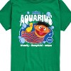 Boys' - Sesame Street - Ernie Aquarius Short Sleeve Graphic T-Shirt - 2 of 4