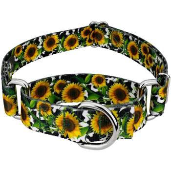 Country Brook Petz Dairy Fields Martingale Dog Collar