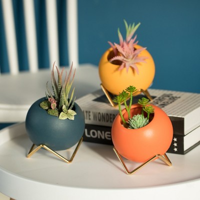 Fabulaxe Small Modern Ceramic Flower Vase for Living Room, Home Office Table, Dining Room and Entryway