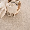 Hauteloom Heavenly Solid Beige Plush Rug - 2 of 4