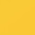 yellow & navy blue