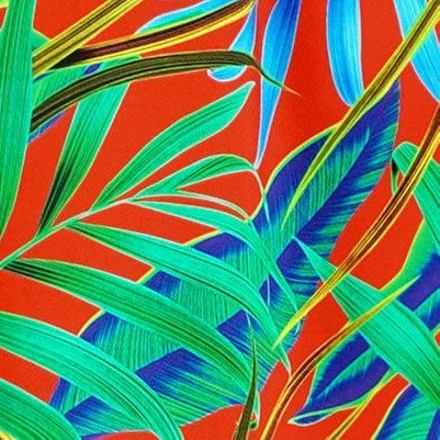 tropical multi