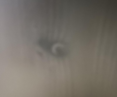 Guest review image 4 of 6, zoom in