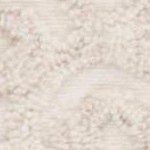 camel/ivory