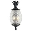 Acclaim Lighting Lanai 2 - Light Wall Light in  Matte Black - 2 of 4