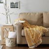 50"x60" Braided Striped Throw Blanket - Design Imports - 4 of 4