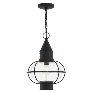 Livex Lighting Newburyport 1 - Light Pendant in  Black - 1 of 4