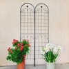 NicBex Metal Plant Stakes for Indoor Plants, Garden Bed with Trellis Rustproof Beans Trellis for Garden - 2 of 4