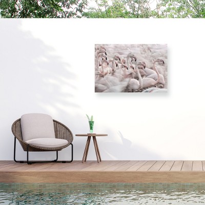 Trademark Fine Art - Martine Benezech In The Pink Transhumance Matted Framed Art