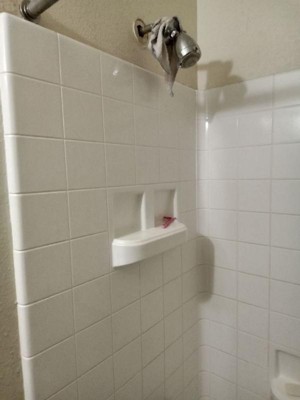 Guest review image 1 of 1, zoom in