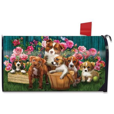 In The Garden Spring Magnetic Mailbox Cover Dogs Puppies Standard Briarwood Lane