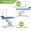 BENCMATE Pet Grooming Tool Hydraulic Pet Grooming Table Adjustable 330LBS Capacity Anti-Slip Top Multifunctional Arm, Blue, 41.70"*23.70"*21.00" - 2 of 4