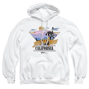Men's Joshua Tree National Park Retro Pull-Over Hoodie - 1 of 4