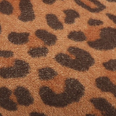 leopard/camel