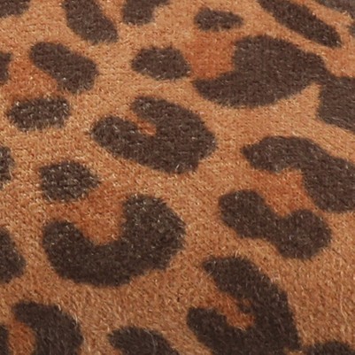 leopard/camel