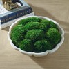 Uttermost Awaken Moss Centerpiece-Preserved Moss in Ivory Thassos Marble Replica Bowl - 3 of 4
