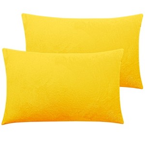 2 Pack Zippered Velvet Pillowcases, Super Soft and Cozy Luxury Fuzzy Flannel Pillow Cases - NTBAY - 1 of 4