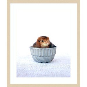 Amanti Art Tiny Baker II by Tania Soderman Wood Framed Wall Art Print - 1 of 4