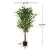 Angel Sar 63" Artificial Ficus Tree Without White Pot, Realistic Weeping Fig with Glossy Leaves, Twist Trunk, No Maintenance Indoor Decor - 4 of 4