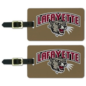Lafayette Leopard Luggage ID Tags Suitcase CarryOn Cards  Set of 2 - 1 of 4