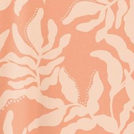 pressed leaf orange