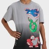Boys' Pokémon Hoenn Legendary Weather Trio Oversized Short Sleeve Graphic T-Shirt - Gray - 2 of 4