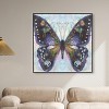 Art Remedy On Her Way Colorful buterfly and flowers wall art Framed - 2 of 4
