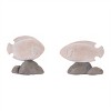 Fish on Rock Décor (Set of 4) - 2 of 4