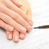 Unique Bargains Nail Painting Brushes for Polish Painting Home DIY Brown 1 Pc - 2 of 4