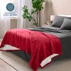 Faux Shearling Fleece Blanket by Bare Home - 4 of 4