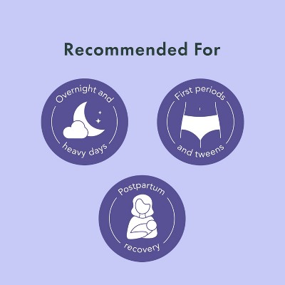 Rael Organic Disposable Period Underwear - L/XL - 5ct