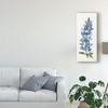 Trademark Fine Art -Anne Tavoletti 'Texas Bluebonnet Iii' Canvas Art - 3 of 4