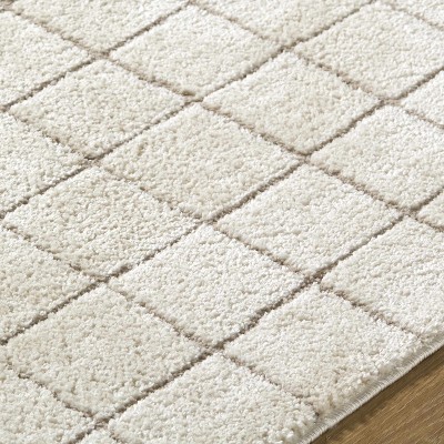 Hauteloom Cascade Checkered Ivory Area Rug