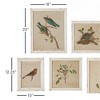 Plum & Post Framed Aviary Bird & Nest Habitat Prints, Set Of 9 - 2 of 4