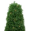 Northlight 3' Pre-Lit Artificial Boxwood Cone Topiary Tree with Round Pot, Clear Lights - image 3 of 4