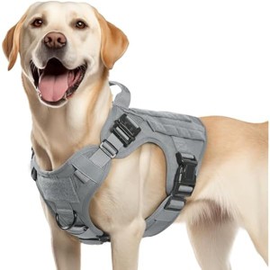 rabbitgoo Tactical Dog Harness Medium Sized, Heavy Duty Pet Harness with Handle, No-Pull Service Training Hunting Walking, Grey, M - 1 of 1