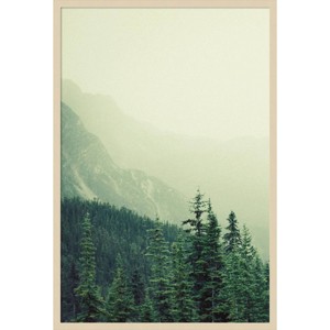 28"x41" Rocky Mountain Trees 7 by Lynann Colligan Wood Framed Wall Art Print Brown - Amanti Art: Fir Wood Frame, Vertical Lithograph - 1 of 4
