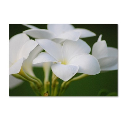 Large White Flower Canvas Art on Green Background